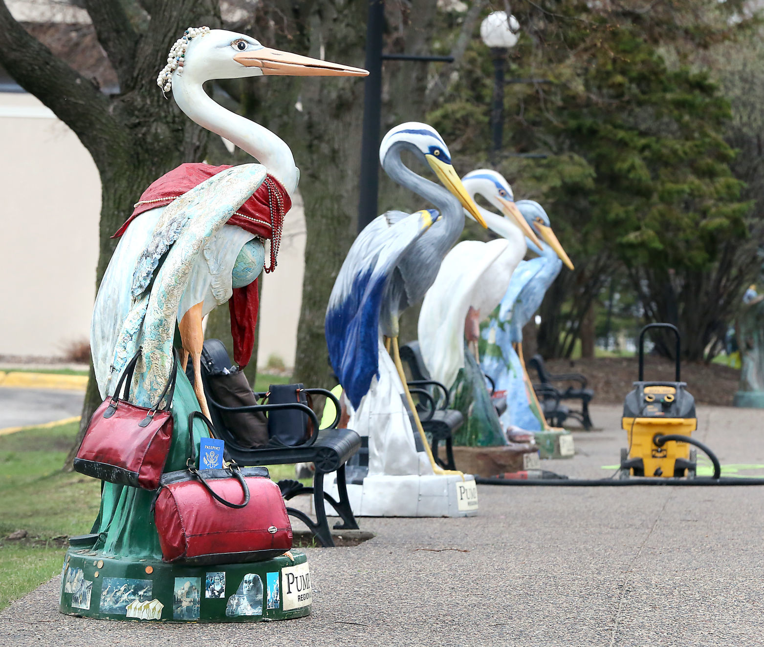 Herons